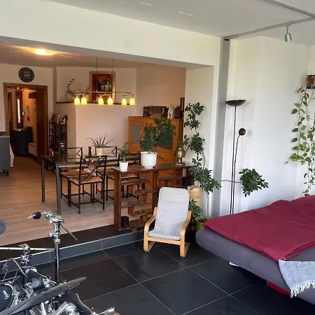 Modernes 2 In Ruhiger Lage *